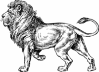 Green Lion Association